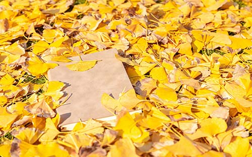 電氣專業(yè)有哪些自考科目？