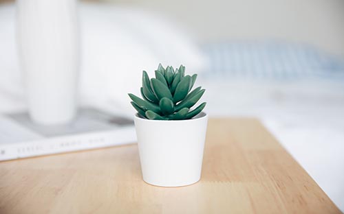 江西自考個(gè)人信息可以修改嗎？