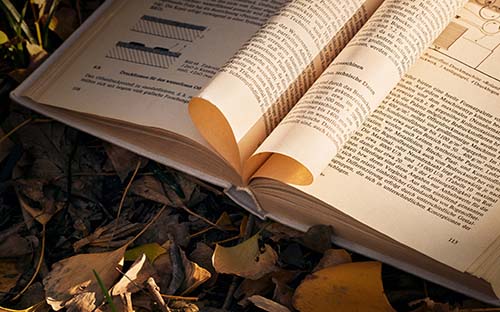 自考成績?nèi)绾尉W(wǎng)上申請復(fù)核？