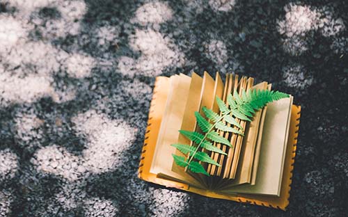 自考學(xué)歷可以報(bào)考哪些證書(shū)? 自考學(xué)歷可以報(bào)考哪些證書(shū)?