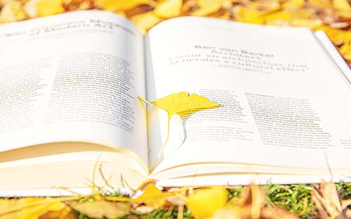自考英語專業(yè)必須寫畢業(yè)論文嗎？
