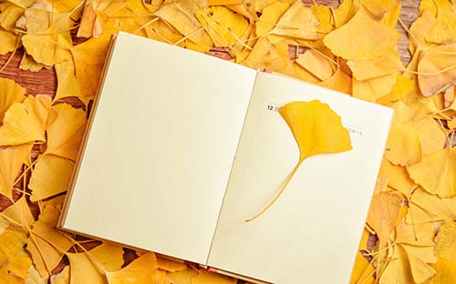 上海成人高考專升本難嗎？