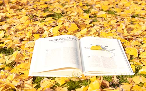 成人自考專業(yè)該如何選？