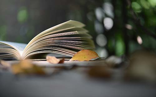 四川自考本科會計專業(yè)有什么科目？