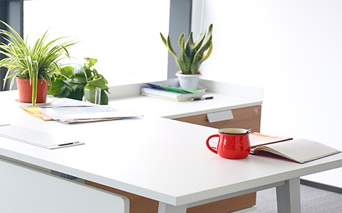 成人高考畢業(yè)生可以考公務(wù)員嗎？