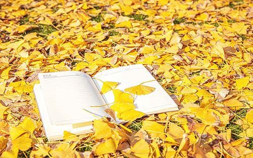 沒(méi)有基礎(chǔ)能不能通過(guò)自考？