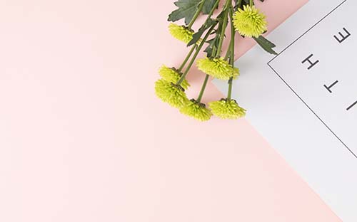 江蘇成人高考藝術類有哪些專業(yè)？