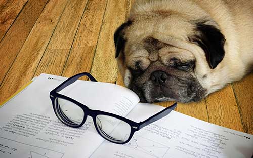 考取自考學(xué)位證書有什么條件？