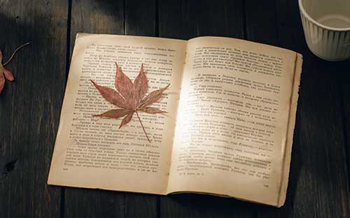 成人高考大專學(xué)歷可以報(bào)考資料員嗎？