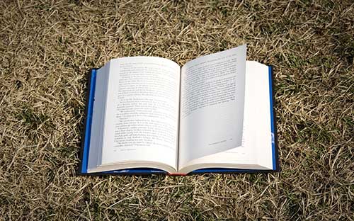 山東省成人高考成績公布時間是多久？