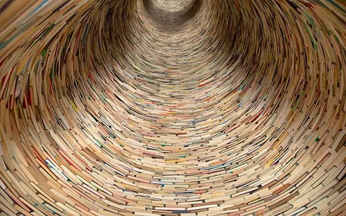 成人高考審核需要帶什么材料？