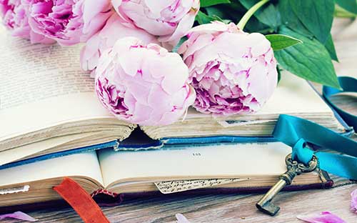 湖南岳陽成人自考需要多少錢？