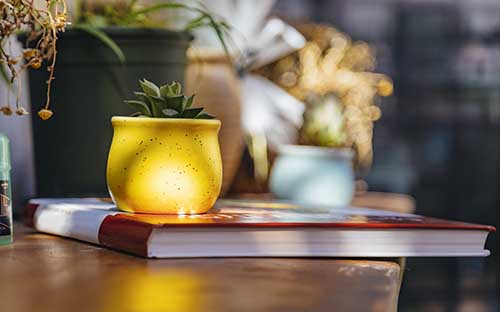 自考每年報(bào)名時(shí)間是什么時(shí)候？報(bào)名費(fèi)多少錢？