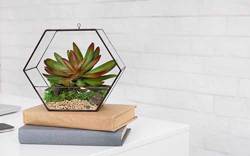 佛山成人高考外地能報名嗎？報名需要準(zhǔn)備什么？