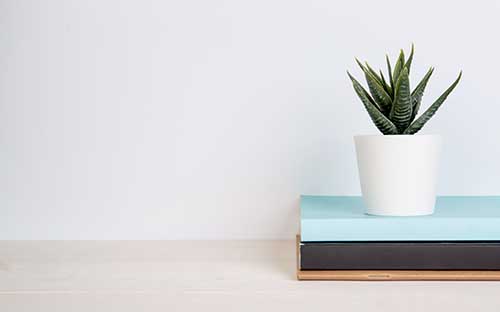 深圳成人高考怎么報(bào)名？可以報(bào)考哪些大學(xué)？