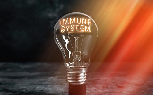 河?xùn)|成人高考檔案怎么填寫？需要去現(xiàn)場嗎？