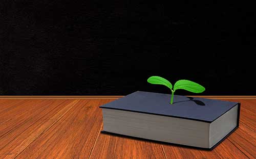 自貢成人高考可以隨時都參加嗎？數(shù)學(xué)復(fù)習(xí)點有什么？