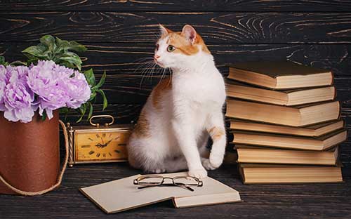 安徽成人高考報名需要哪些條件？需要哪些材料？