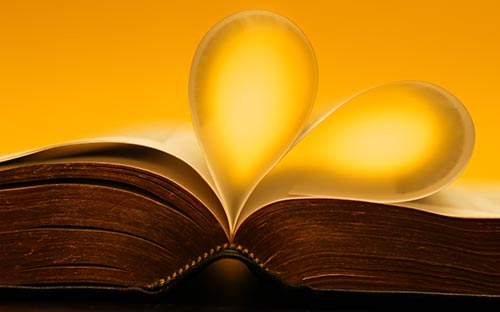 深圳成人高考異地怎么報名？需要多少錢？