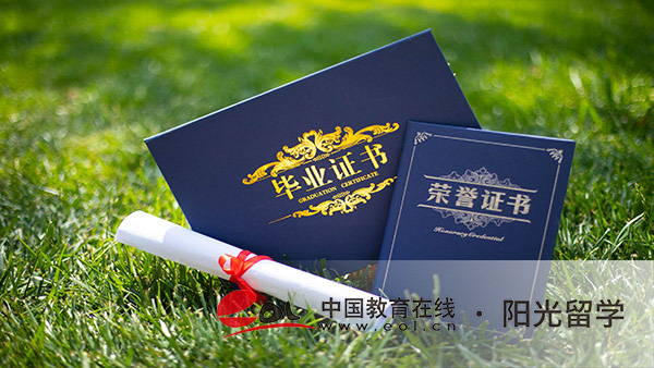 荷蘭藝術(shù)史與理論專業(yè)本科留學(xué)有哪些申請(qǐng)條件 荷蘭藝術(shù)史與理論專業(yè)本科留學(xué)有哪些申請(qǐng)條件