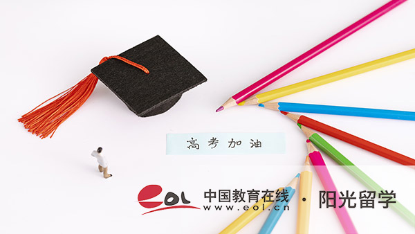 新西蘭藝術(shù)專業(yè)博士回國就業(yè)前景如何