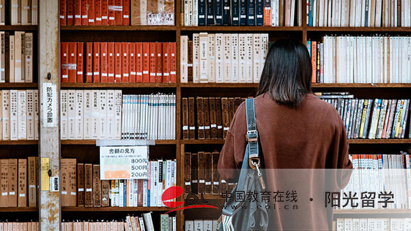 上海大學(xué)中外合作國際本科1+3項目介紹