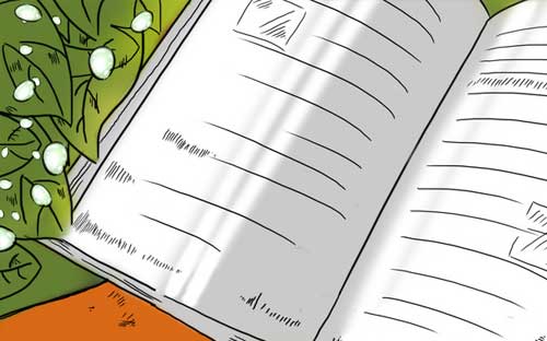 雅思綠寶書(shū)多少單詞