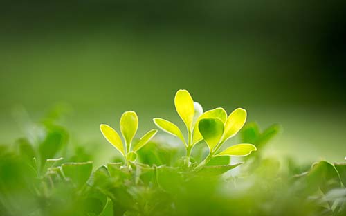 一月份雅思會(huì)變難嗎