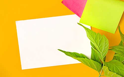 重慶自考的報(bào)名官網(wǎng)是什么？報(bào)名流程是什么？